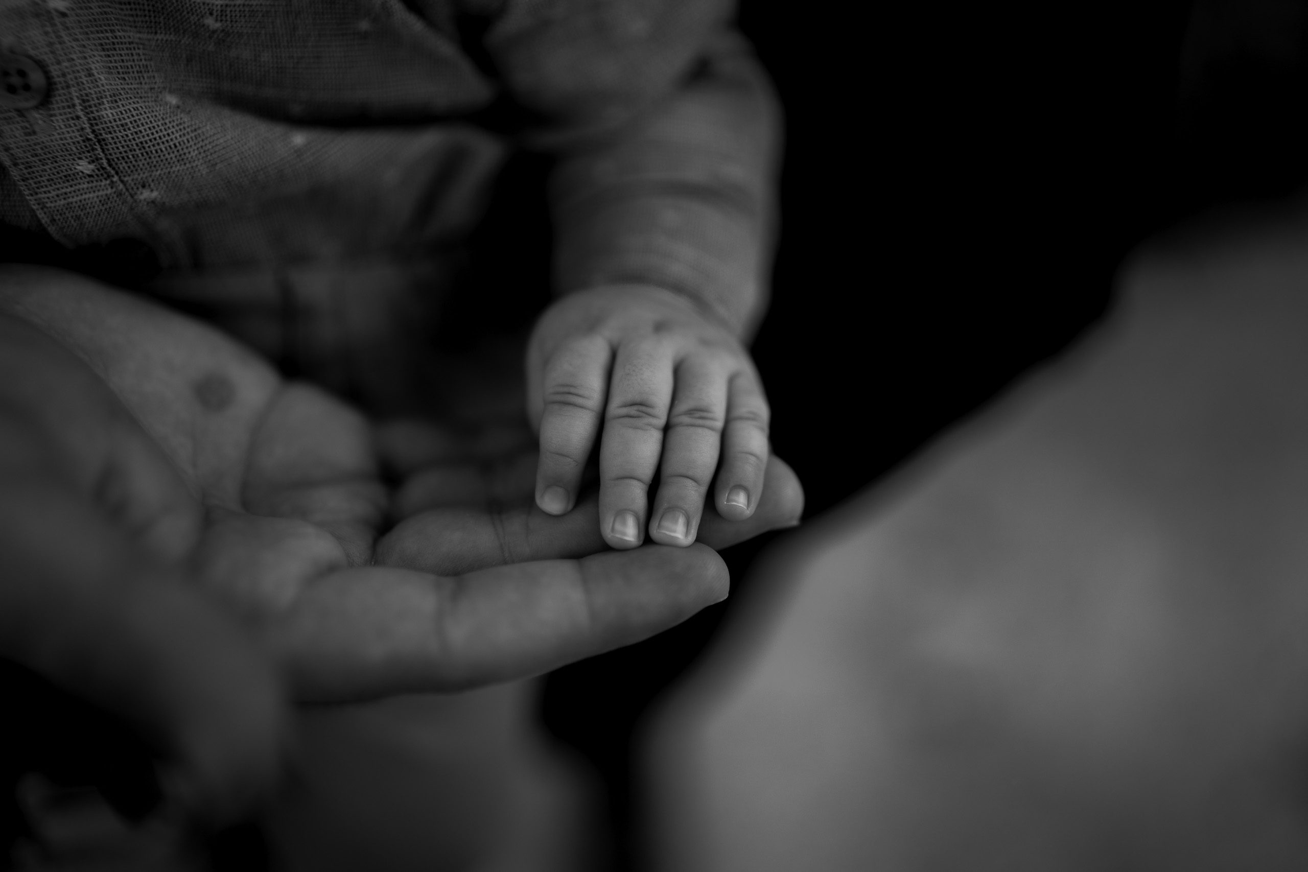 untitled-00115036