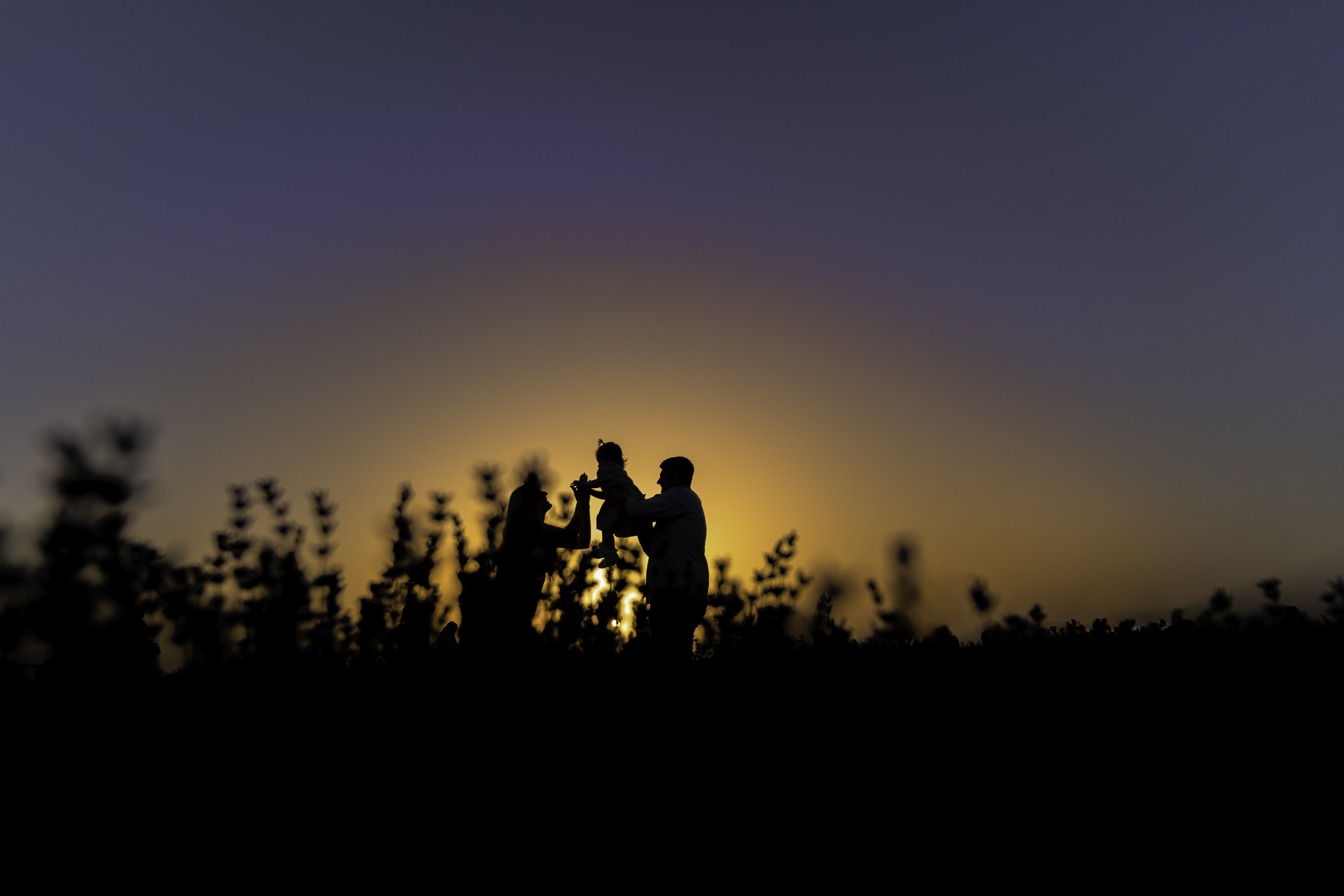 ANT01515-Edit014011